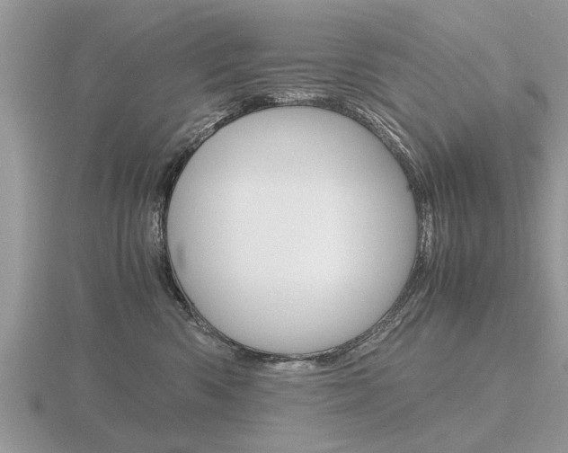 X0000116640426200912140949