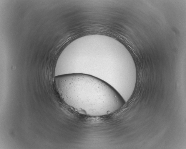 X0000116640428200912140949