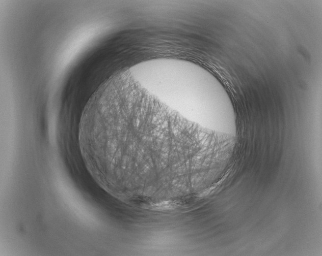 X0000116640430200912140949