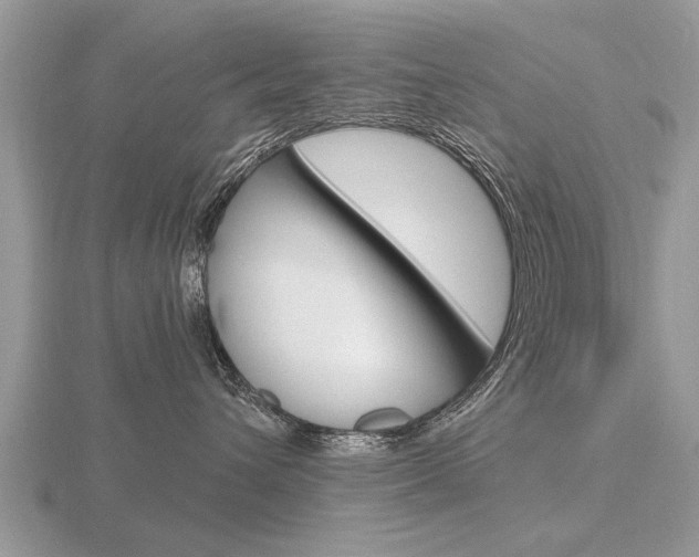 X0000116640432200912140949