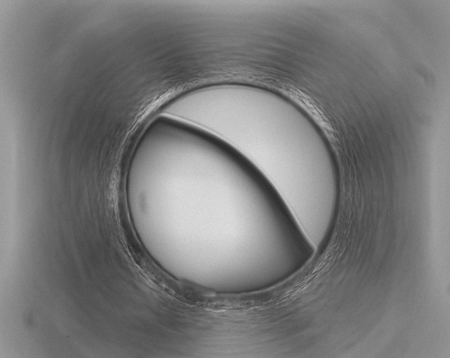 X0000116640434200912140948