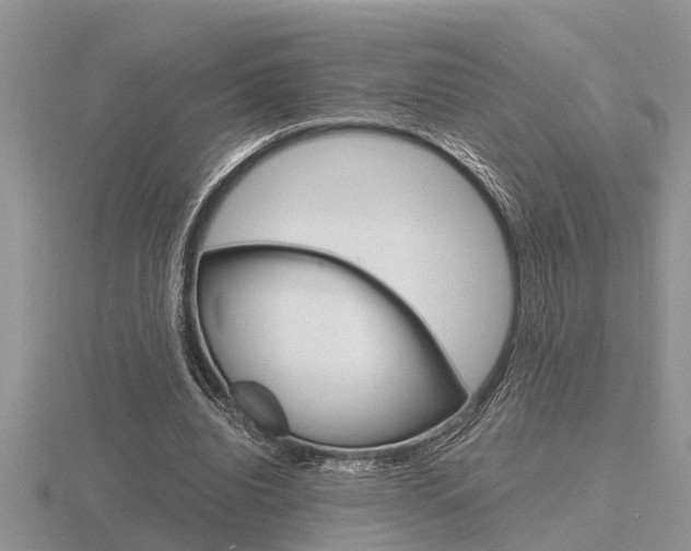 X0000116640440200912140948