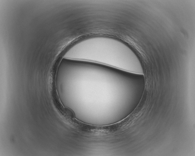 X0000116640448200912140948