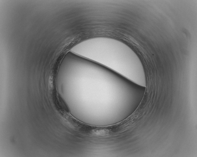 X0000116640452200912140948