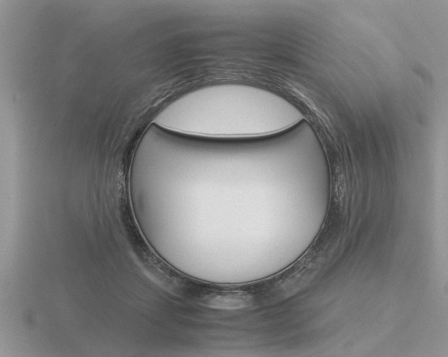 X0000116640459200912140948