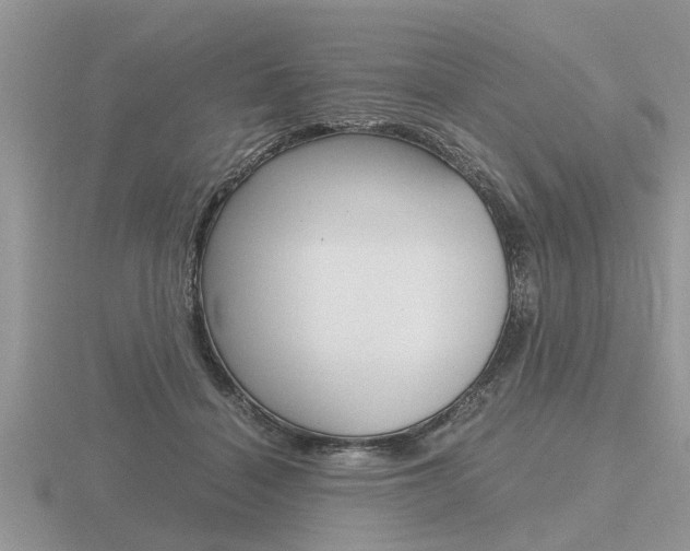 X0000116640460200912140948