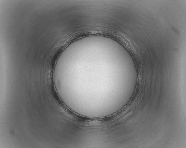 X0000116640462200912140948