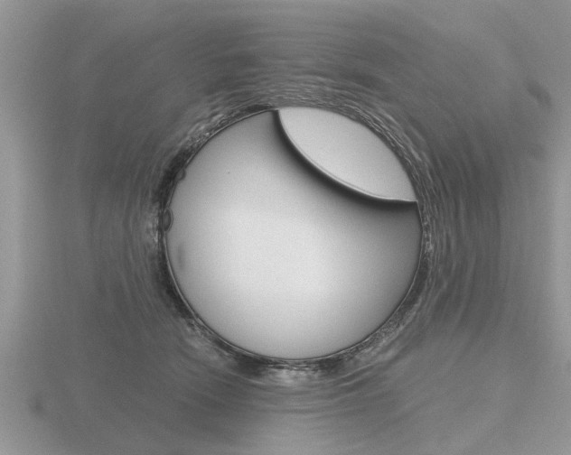 X0000116640466200912140948