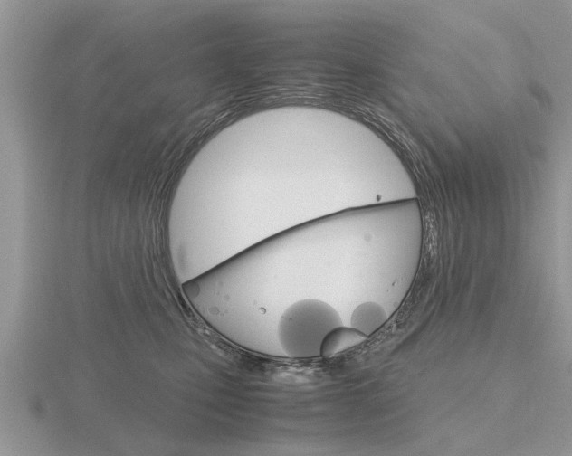 X0000116640471200912140949