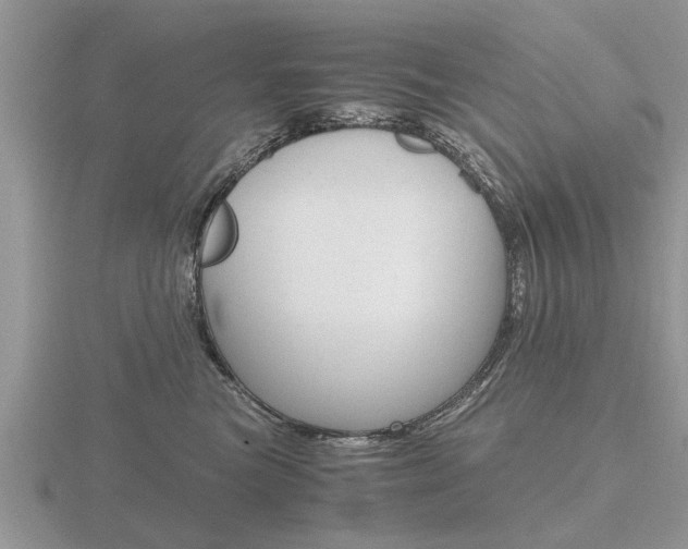 X0000116640473200912140949