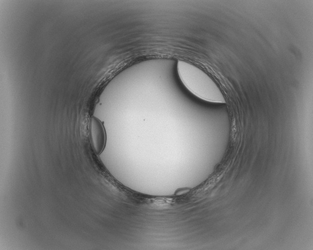 X0000116640474200912140949