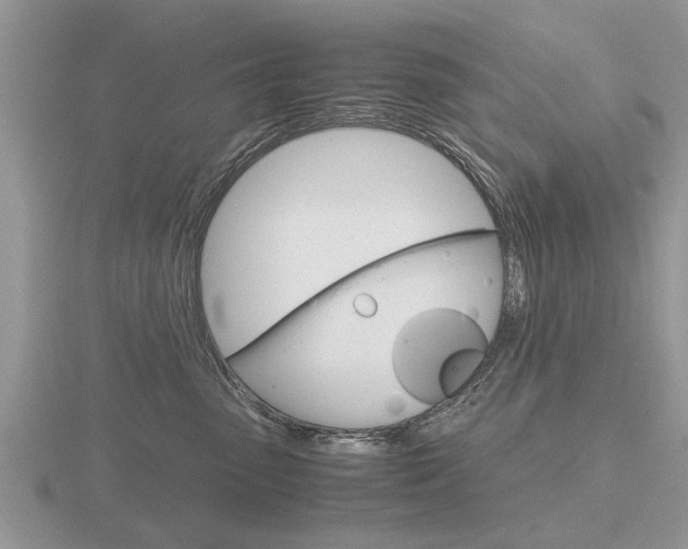 X0000116640475200912140949