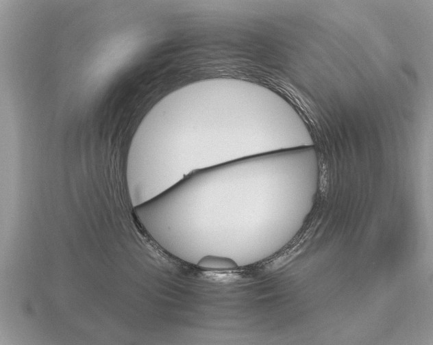 X0000116640477200912140949