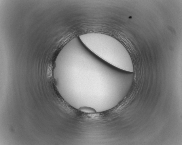 X0000116640478200912140949