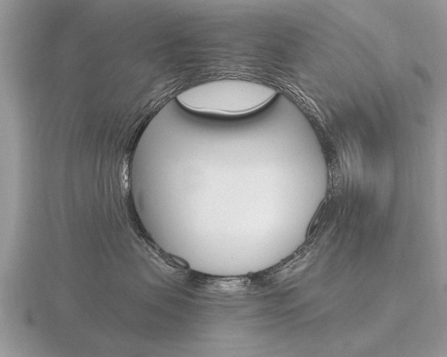 X0000116640479200912140949