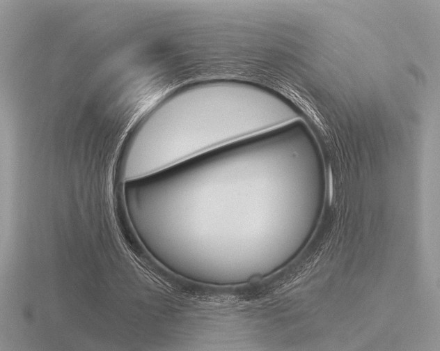 X0000116640483200912140948