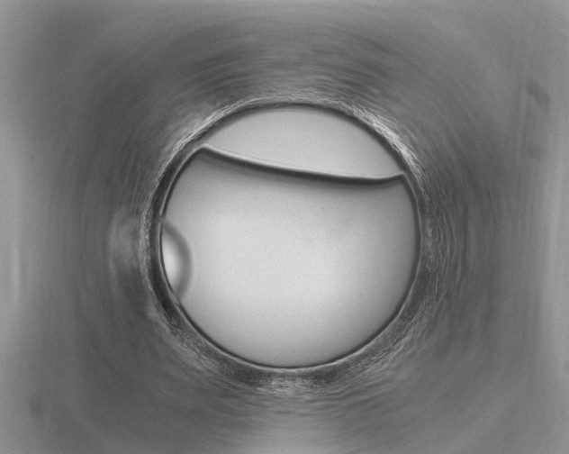 X0000116640487200912140948