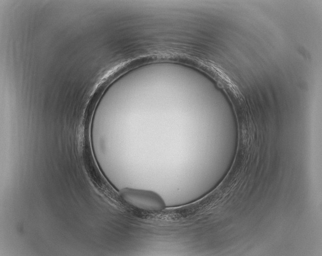 X0000116640488200912140948