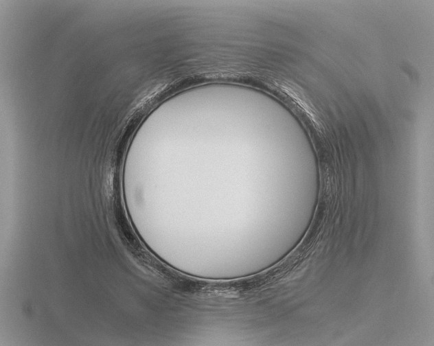 X0000116640491200912140948