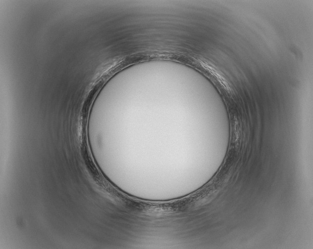 X0000116640494200912140948