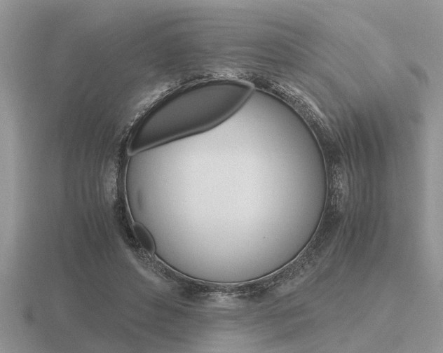 X0000116640496200912140948