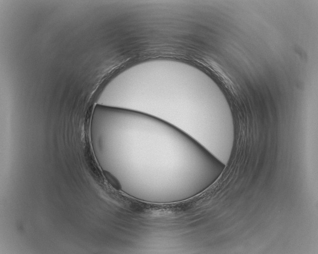 X0000116640500200912140948