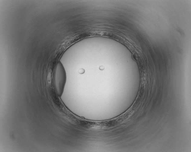 X0000116640504200912140948