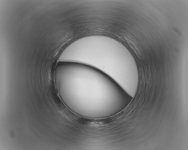 X0000116640508200912140948