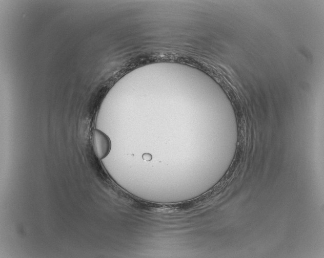 X0000116640511200912140948