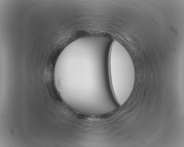 X0000116640515200912140948