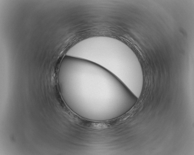 X0000116640520200912140948