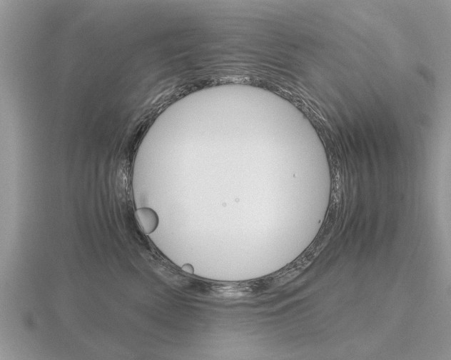 X0000116640522200912140947