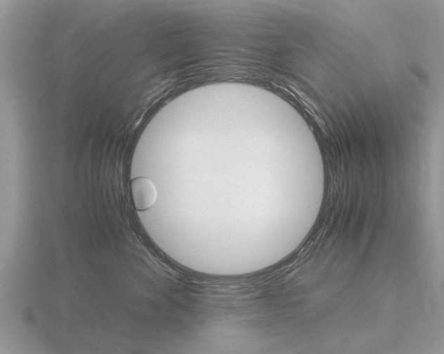 X0000116640524200912140947