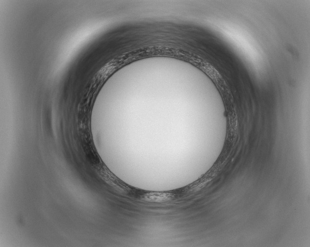 X0000116640526200912140947