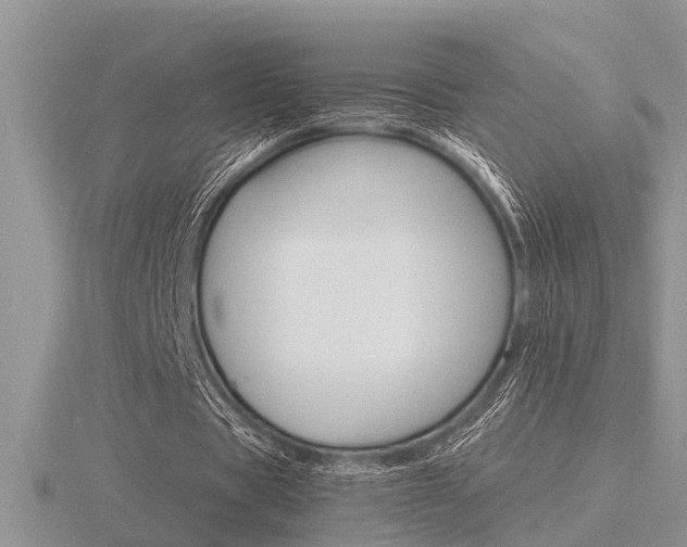 X0000116640529200912140947