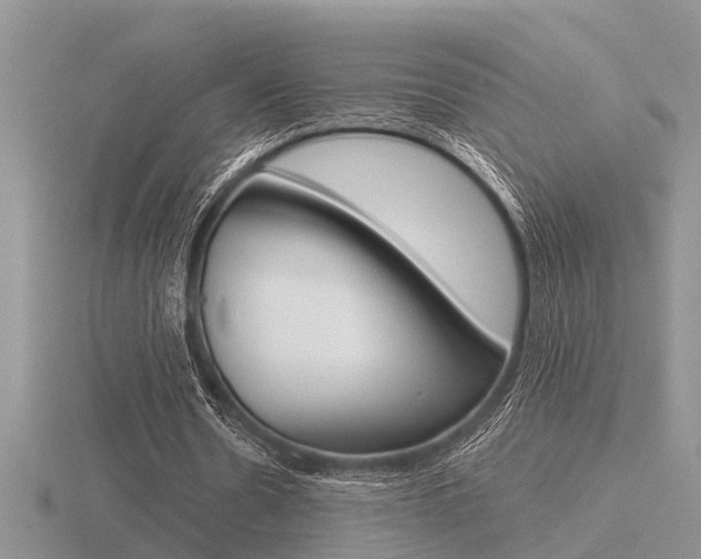 X0000116640530200912140947