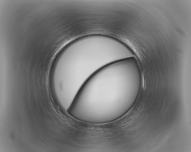 X0000116640531200912140947