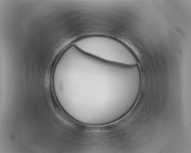 X0000116640533200912140947