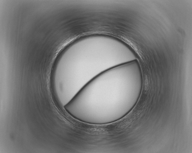 X0000116640535200912140947