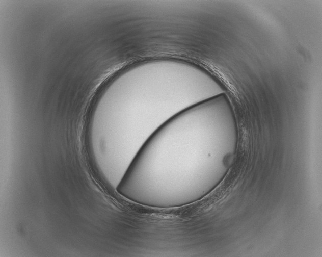 X0000116640539200912140947
