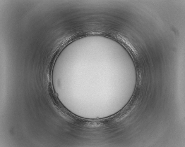 X0000116640541200912140947