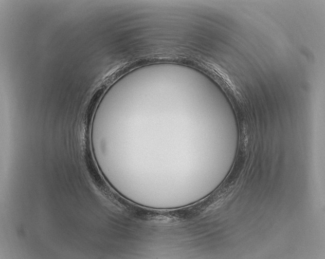 X0000116640542200912140947