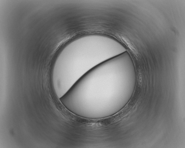 X0000116640543200912140947