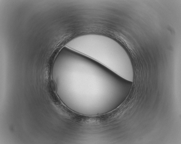 X0000116640546200912140947