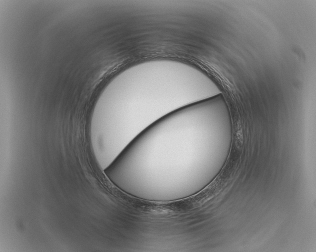 X0000116640547200912140947