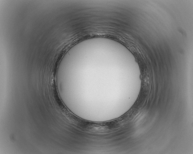 X0000116640555200912140947
