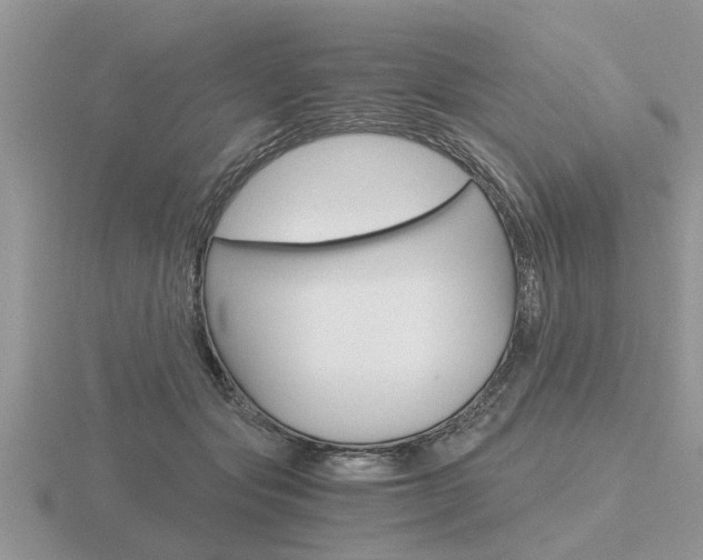X0000116640557200912140947