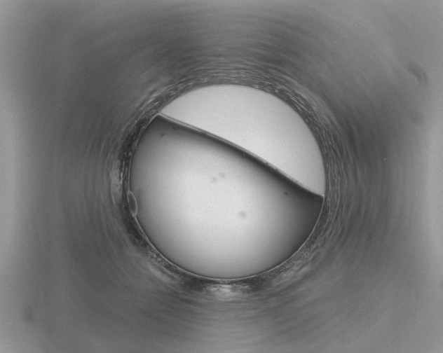 X0000116640558200912140947