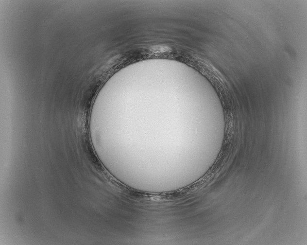 X0000116640565200912140947