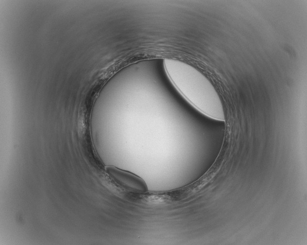 X0000116640566200912140947